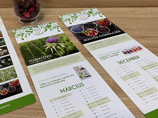 Falinaptár ajánló